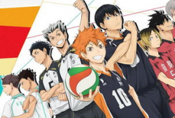 排球少年动漫,梦想与激情的青春交响曲